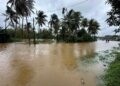 දැන් කඩුවෙල අධිවේගී පිවිසුම ළඟ බියගම පාරේ වාහන යන්න බෑ.. අවදානමක් ගන්න එපා.