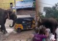 මඩකළපුවේ වන අලි ප්රහාරයෙන් කාන්තාවක් මියයයි – 3 දෙනෙකුට බරපතල තුවාල