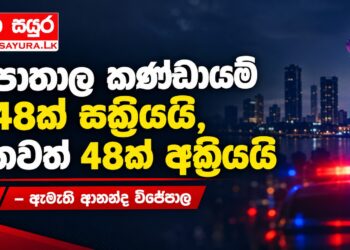 පාතාල කණ්ඩායම් 48ක් සක්රීයයි, තවත් 48ක් අක්රීයයි – ඇමැති ආනන්ද විජේපාල